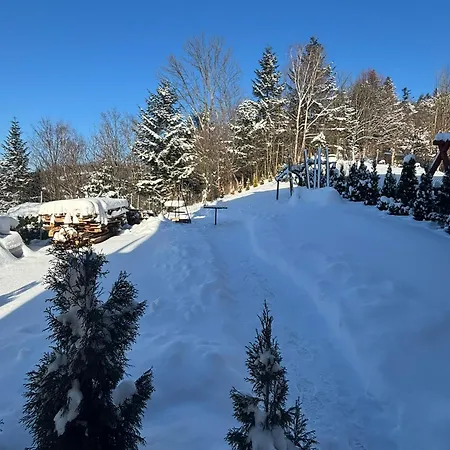 Loft Krynica-zdroj アパート *