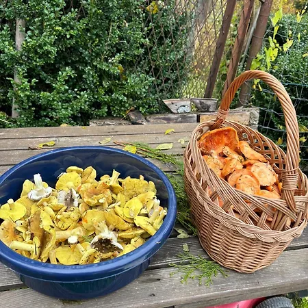 Loft Krynica-zdroj クリニツァ・ズドルイ